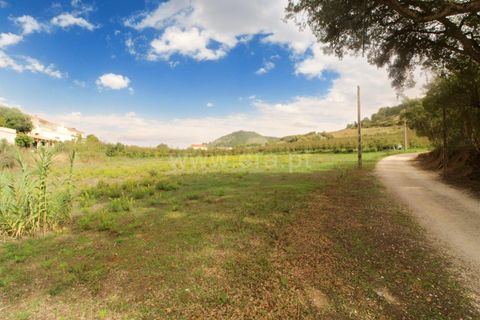 Helårsgrund i Torres Vedras, Lisbon, Torres Vedras - € 99.000 | Ref: 295220158 - foto 3