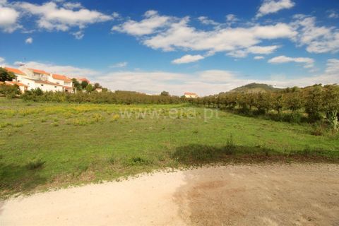 Helårsgrund i Torres Vedras, Lisbon, Torres Vedras - € 99.000 | Ref: 295220158 - foto 4