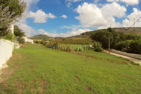 Helårsgrund i Torres Vedras, Lisbon, Torres Vedras - € 99.000 | Ref: 295220158 - foto 5