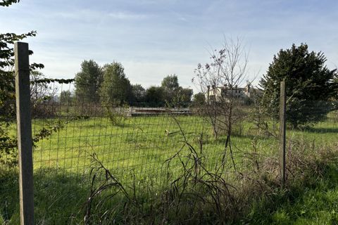 Terra a Conselve, Padua, Conselve - € 250.000 | Ref: L45 - foto 2