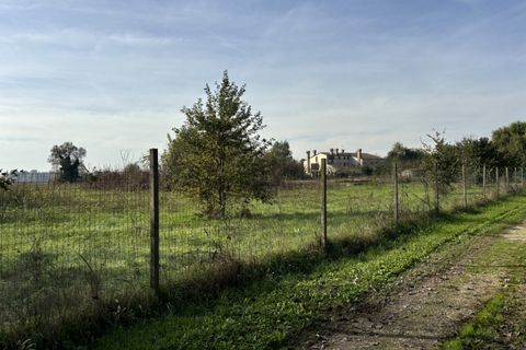 Terra a Conselve, Padua, Conselve - € 250.000 | Ref: L45 - foto 3