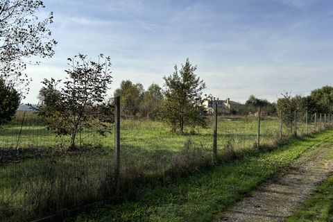 Terra a Conselve, Padua, Conselve - € 250.000 | Ref: L45 - foto 4