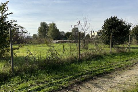 Terra a Conselve, Padua, Conselve - € 250.000 | Ref: L45 - foto 5
