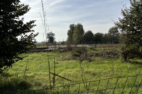 Terra a Conselve, Padua, Conselve - € 250.000 | Ref: L45 - foto 6
