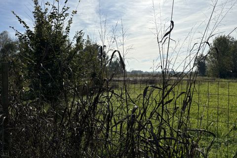 Terra a Conselve, Padua, Conselve - € 250.000 | Ref: L45 - foto 7