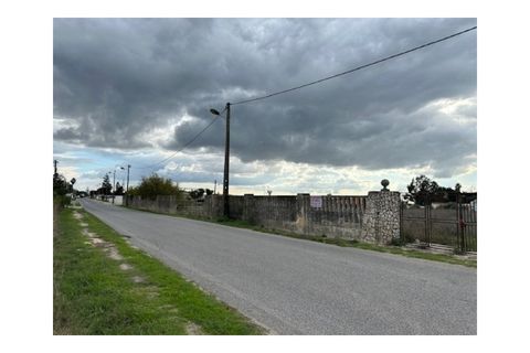 Helårsgrund i Montijo, Setubal, Montijo - € 1.300.000 | Ref: SÒL_243 - foto 4