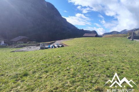 Terra a Bellevaux, Haute-Savoie, Bellevaux - € 110.000 | Ref: 191265-ALPESVENTE - foto 7