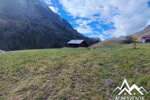 Terra a Bellevaux, Haute-Savoie, Bellevaux - € 90.000 | Ref: 191263-ALPESVENTE - foto 6