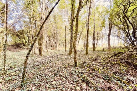 Villa a Le Vigeant, Vienne, Le Vigeant - € 848.000 | Ref: 34678 - foto 27