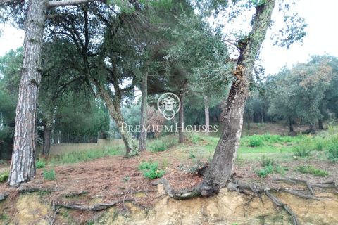 Terra a Tordera, Barcelona, Tordera - € 50.000 | Ref: PH103278/3699 - foto 2