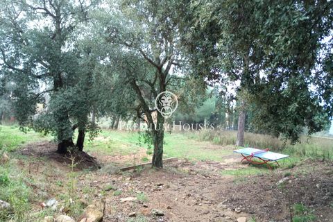 Terra a Tordera, Barcelona, Tordera - € 50.000 | Ref: PH103278/3699 - foto 4