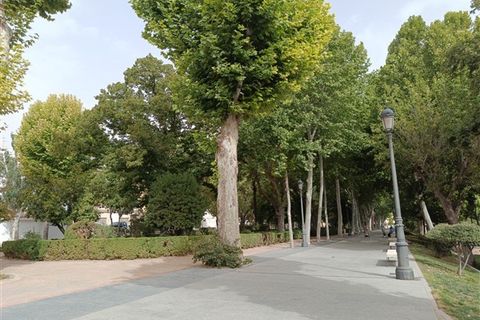 Landsbyhus i Baza, Granada, Baza - € 59.500 | Ref: 161 - foto 25