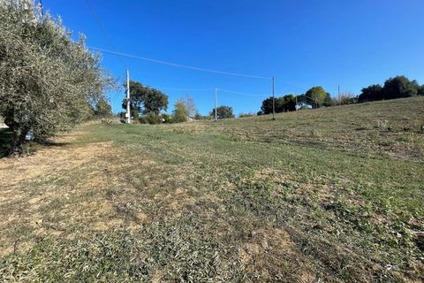 Terra a Moscufo, Pescara, Moscufo - € 37.000 | Ref: 85408323 - foto 5