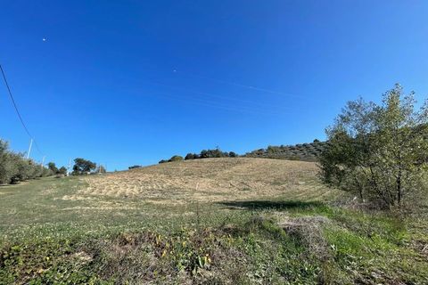 Terra a Moscufo, Pescara, Moscufo - € 37.000 | Ref: 85408323 - foto 6