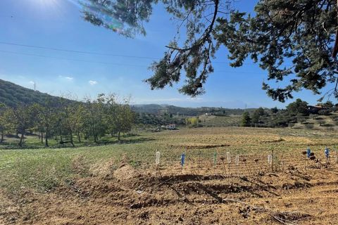 Terra a Moscufo, Pescara, Moscufo - € 37.000 | Ref: 85408323 - foto 7