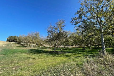 Terra a Moscufo, Pescara, Moscufo - € 37.000 | Ref: 85408323 - foto 8
