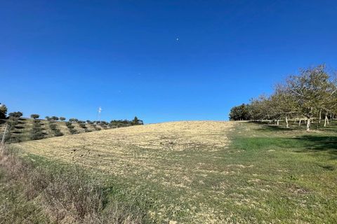 Terra a Moscufo, Pescara, Moscufo - € 37.000 | Ref: 85408323 - foto 11