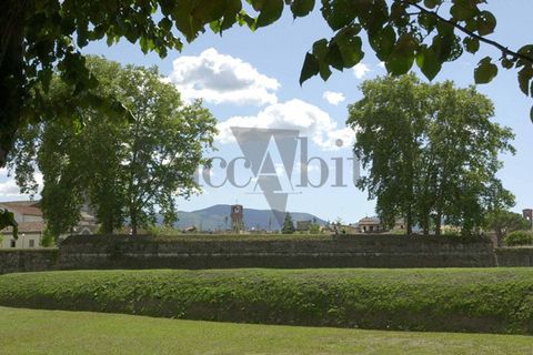 Lejlighed i Lucca, Lucca, Lucca - € 550.000 | Ref: A3215-1 - foto 22