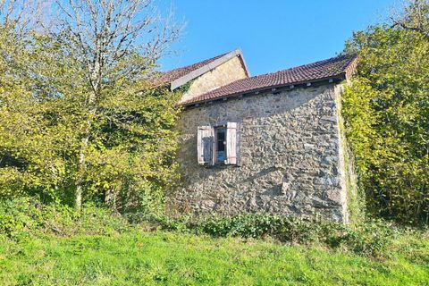 Farm hus i Naves, Correze, Naves - € 52.480 | Ref: 913V599M-tw - foto 4