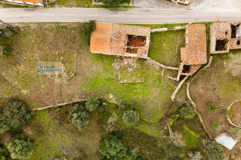 Villa i Ourem, Santarem, Ourem - € 155.000 | Ref: CV11001-288 - foto 19