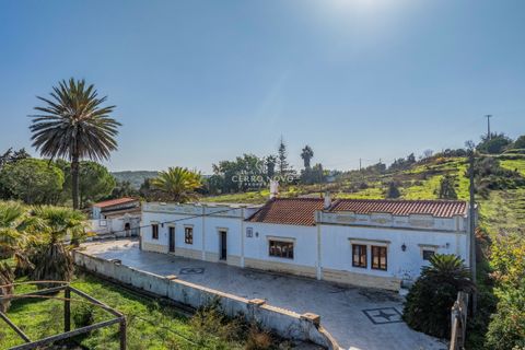 Villa a Alcantarilha, Faro, Alcantarilha - € 850.000 | Ref: CN10466 - foto 3