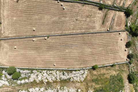 Helårsgrund i Modica, Ragusa, Modica - € 59.000 | Ref: L 1967 - foto 5