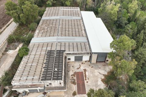 Erhvervsejendom i Modica, Ragusa, Modica - € 850.000 | Ref: L 1861V - foto 9