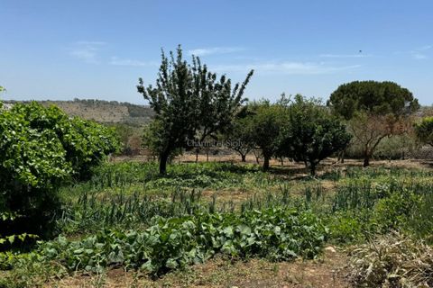 Villa i Modica, Ragusa, Modica - € 220.000 | Ref: L 1988 - foto 24