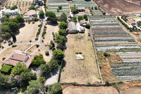 Villa i Modica, Ragusa, Modica - € 175.000 | Ref: L 2008 - foto 5