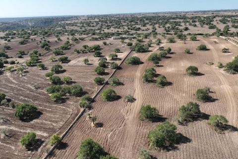 Villa i Modica, Ragusa, Modica - € 750.000 | Ref: L 2022 - foto 4