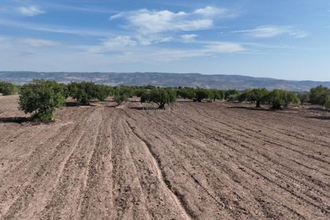 Villa i Modica, Ragusa, Modica - € 750.000 | Ref: L 2022 - foto 9