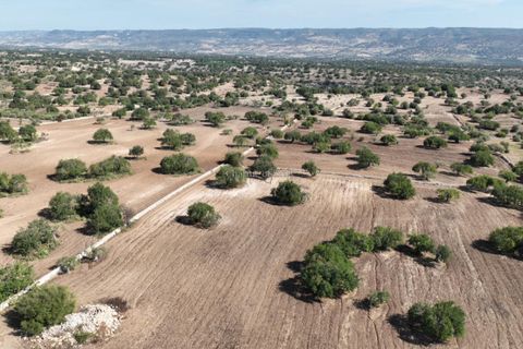 Villa i Modica, Ragusa, Modica - € 750.000 | Ref: L 2022 - foto 10