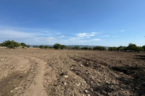 Villa i Modica, Ragusa, Modica - € 750.000 | Ref: L 2022 - foto 19