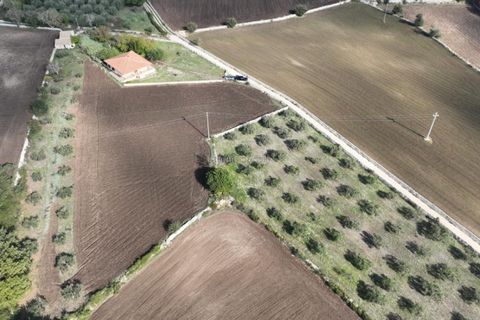 Villa i Modica, Ragusa, Modica - € 185.000 | Ref: AS 06 - foto 3