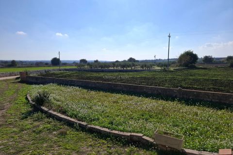 Villa i Modica, Ragusa, Modica - € 185.000 | Ref: AS 06 - foto 6
