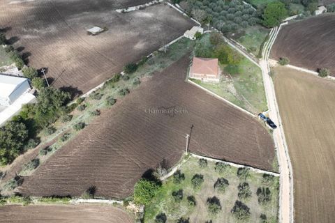 Villa i Modica, Ragusa, Modica - € 185.000 | Ref: AS 06 - foto 8