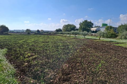Villa i Modica, Ragusa, Modica - € 185.000 | Ref: AS 06 - foto 31