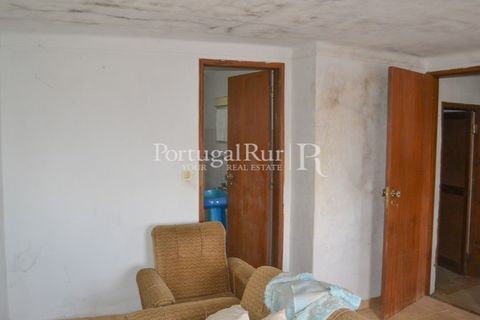 Landejendom i Proenca-a-Nova, Castelo Branco, Proenca-a-Nova - € 23.500 | Ref: SA587 - foto 11
