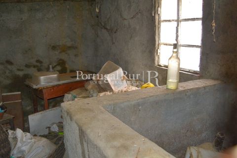 Landejendom i Proenca-a-Nova, Castelo Branco, Proenca-a-Nova - € 23.500 | Ref: SA587 - foto 19