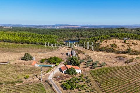 Landejendom i Castelo Branco, Castelo Branco, Castelo Branco - € 730.000 | Ref: FG36 - foto 2