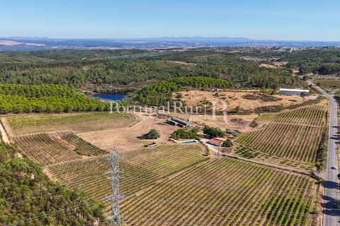 Landejendom i Castelo Branco, Castelo Branco, Castelo Branco - € 730.000 | Ref: FG36 - foto 1