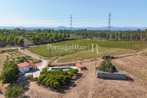 Landejendom i Castelo Branco, Castelo Branco, Castelo Branco - € 730.000 | Ref: FG36 - foto 3