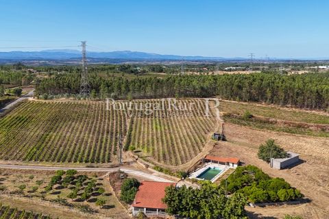 Landejendom i Castelo Branco, Castelo Branco, Castelo Branco - € 730.000 | Ref: FG36 - foto 4
