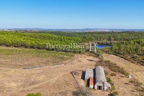 Landejendom i Castelo Branco, Castelo Branco, Castelo Branco - € 730.000 | Ref: FG36 - foto 5