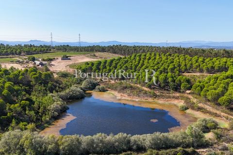 Landejendom i Castelo Branco, Castelo Branco, Castelo Branco - € 730.000 | Ref: FG36 - foto 6