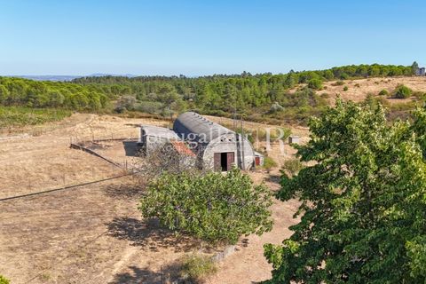 Landejendom i Castelo Branco, Castelo Branco, Castelo Branco - € 730.000 | Ref: FG36 - foto 8