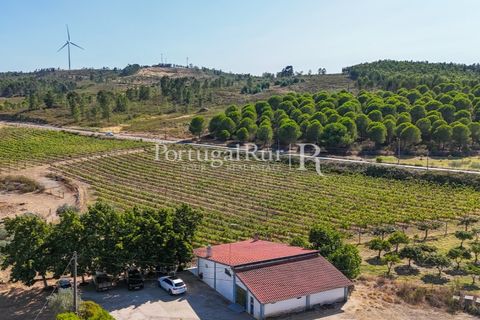 Landejendom i Castelo Branco, Castelo Branco, Castelo Branco - € 730.000 | Ref: FG36 - foto 9