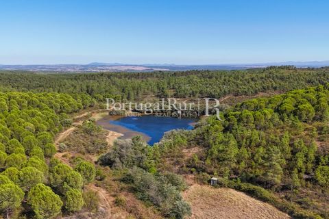Landejendom i Castelo Branco, Castelo Branco, Castelo Branco - € 730.000 | Ref: FG36 - foto 12