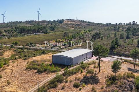 Landejendom i Castelo Branco, Castelo Branco, Castelo Branco - € 730.000 | Ref: FG36 - foto 13
