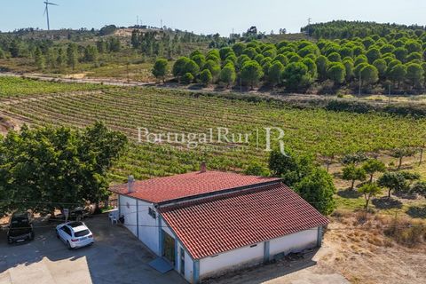 Landejendom i Castelo Branco, Castelo Branco, Castelo Branco - € 730.000 | Ref: FG36 - foto 14